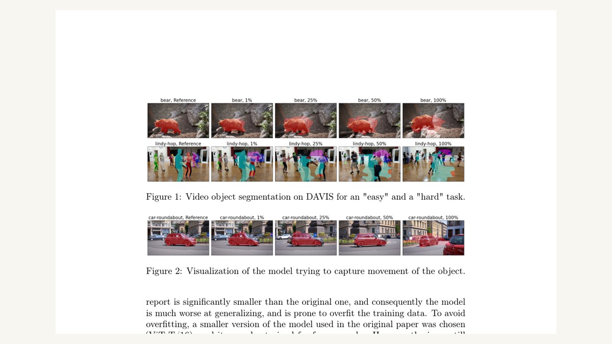 SiamMAE video object segmentation and motion correspondence results.